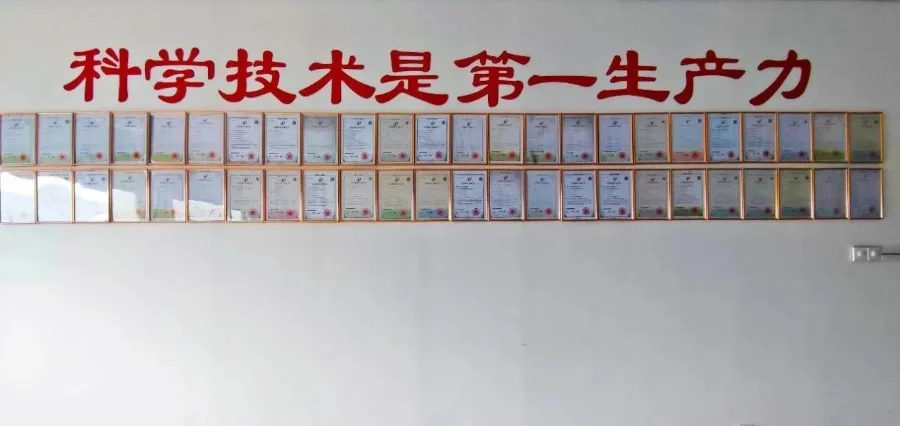 Skąd bierze się „twarda konkurencyjność” Eihe Steel-Structure, zajmująca pierwsze miejsce wśród kolegów z Qingdao?